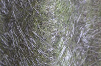 Okle Green fibreglass roof work